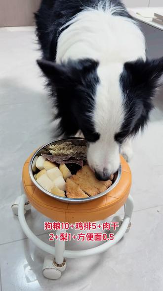 🌸加个小鸡排,不到20元,让登登吃饱一顿饭(PS:小狗一天两顿饭)。#萌宠吃货 #萌宠日常vlog #边牧 #狗狗🐶 #边牧登登