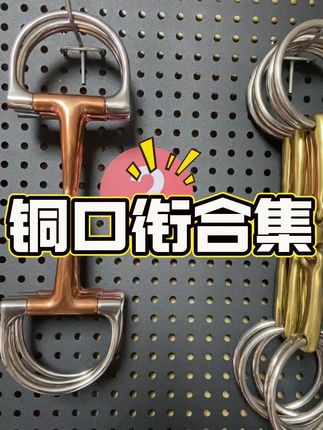 #马#马具#口衔#铜@抖音小助手 @抖音创作小助手 @抖音 #好东西一起分享
