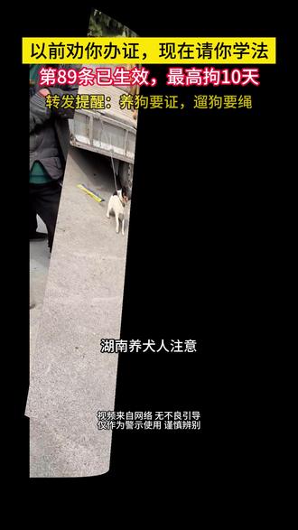 湖南养犬普法来袭,牵绳护安全、办证守规矩,及时清粪便、按期打疫苗,不违规、不扰民,做文明负责任养犬人,共绘潇湘大地人与宠物和谐共生好图景!#新治安管理处罚法 #68养犬管理 #养犬登记 #长沙办犬证上68宠物app #遛狗
