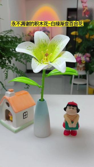 百合花积木花 #百合花 #积木花 #永生花 #花束 #手工diy