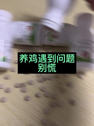 #养殖遇到问题别慌 #养殖 #养殖人加油 #鸡鸭鹅养殖