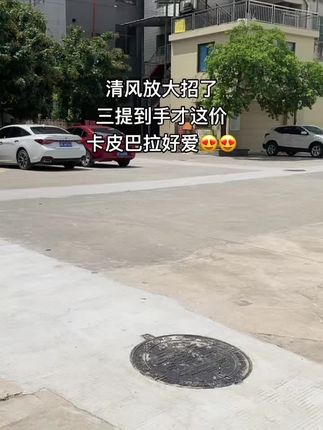 #好物推荐🔥 #抽纸 #生活用纸 #纸巾 #超便宜超划算