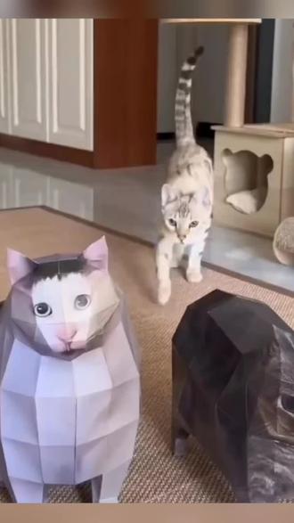 oiiao猫huh猫纸模型猫疑惑猫立体折纸旋转猫送朋友礼物#oiiaioooooiai #猫me #哈基米南北绿豆 #耄耋 #好物推荐🔥