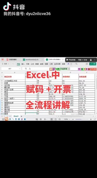 数电发票快速开票流程全讲解,不用自己找分类编码,AI智能找分类编码。#会计干货 #智能分类 #智能赋码 #开票助手 #数电票