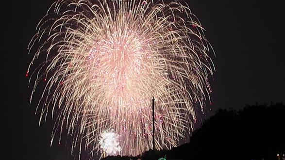 这边是厦门,对岸是台湾金门
是相约同时升起烟花🎇的跨海浪漫,愿早日团圆#台湾 #烟花#请你看烟花 #统一 #厦门