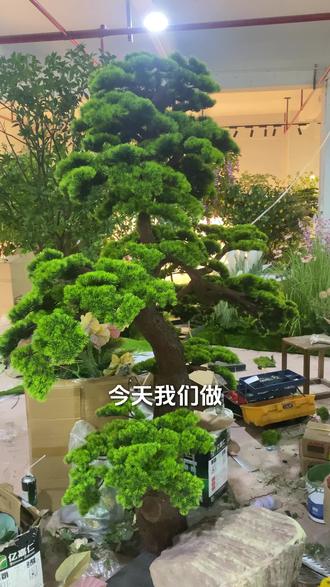 仿真迎客松怎么做#真实生活分享计划 #仿真植物造景 #仿真树 #仿真花手工制作 #仿真花 @ 抖音创作小助手 @抖加 上热门 dou+y热点宝 @抖音小助手