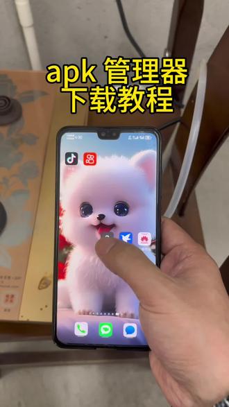 《十方宝库》apk管理器,下载教程!#apk #apk管理器 #apk管理器下载教程 #apk管理器下载链接