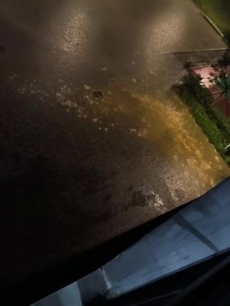 已经修整好了,异味和脏东西已经清理干净了,为广铁速度点赞👍🏻