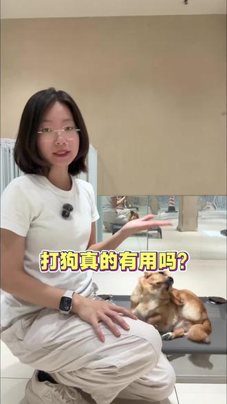 打狗真的有用吗?
#打狗 #狗咬人 #广州训犬师彤彤 #萌宠出道计划 #狗龇牙为什么要打