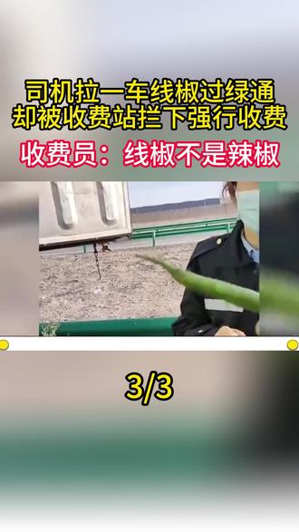 司机拉一车线椒过绿通,却被收费站拦下强行收费。收费员:线椒不是辣椒3/3