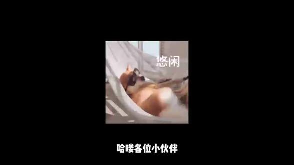 天塌了!江西事业单位报考门槛提高!大多岗位新增多项“禁令”,还有“五年服务期”的坑你又踩了多少?这些一定要注意...#事业单位上岸#事业单位#经验分享