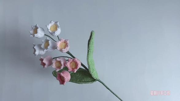 尖角铃兰钩织视频教程 🧶:四股线
钩针:2.0mm
#手工 #钩针编织 #毛线钩织 #花 #我的手工日常