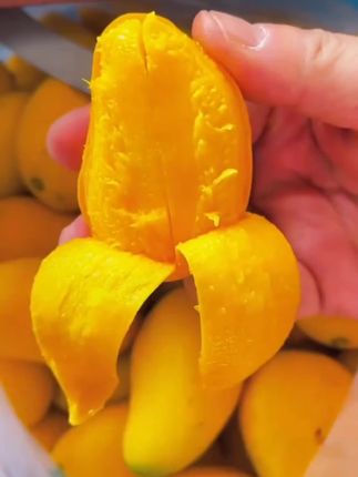 小台芒是真的甜#优质农产品 #新鲜采摘 #抖音助农