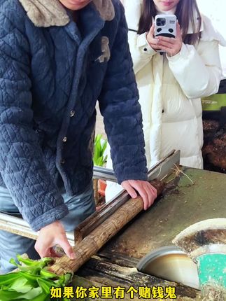 #巴西木又叫幸运木 很好养,摆在哪里都好看,平时只需要浇浇水就可以#巴西木
