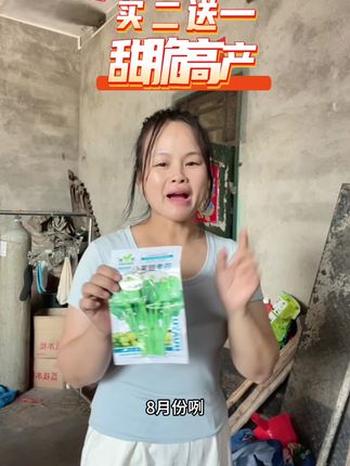 #四九菜心 #三农 #蔬菜种子 #蔬菜种植