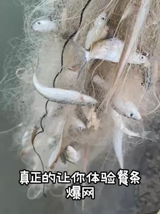 餐条白条马口柔丝渔网#餐条网 #白条网 #餐条白条网 #小鱼网 #渔网