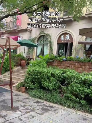 #洗衣液#洗护好物#生活必备 #超便宜超划算