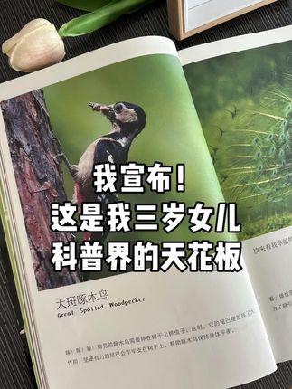 哇!给图跪了2岁就能看的科普书!!太惊喜了!!女儿爱看的挪不开眼 自然百科全书---座移动的自然博物馆,高清大图实拍,视觉冲击力堪比纪录片!给孩子带来超震撼视觉盛宴。真实还原大自然的每一个瞬间! 作为儿童纸上纪录片,它用生动有趣的方式讲述自然知识,没有枯燥说教,孩子轻松读懂。既能培养孩子观察力、想象力,还能激发对大自然的热爱和探索欲。 #涨知识#科普书#童书推荐#好书推荐#大自然百科