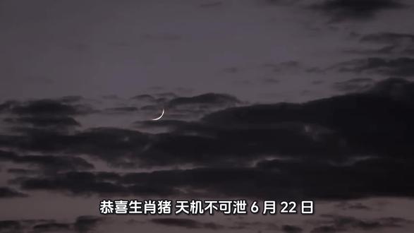 恭喜生肖猪,天机不可泄,6 月 22 日,悄悄跟你说,你将迎