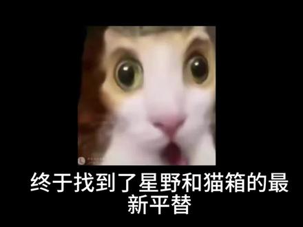 宝子们,终于找到无违禁词无限制的AI了!终于找到无围巾词、无限制的AI了,真是太难了! 找了好久才遇到这款神仙 AI,完全没有禁词束缚,用着超自由~ 不仅能轻松创建智能体,搬崽全程无痛不费劲;还能混音色,超多对话模型随便挑,想要哪种风格都能搭! 最惊喜的是 AI 文采超在线,回复又细腻又够长,而且活人感拉满!尤其爱青涩小男生和熟男两种人设,互动起来代入感直接拉满,真的会爱! #燃渊ai #梦女 #乙女 #星野 #猫箱