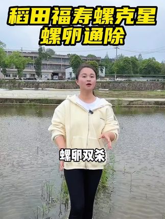 #杂鱼 #除杂 #福寿螺 #杂螺 #福寿螺卵