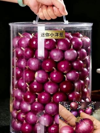 迷你小洋葱。#迷你小洋葱#强烈推荐#营养丰富#绿色食品#健康美食