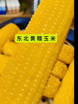 【试吃5根】2025年东北头茬黄糯玉米软糯粘香12支整箱7斤 #随时随地标记一下 #美食趣胃计划 #东北黄糯玉米 #玉米 #吗呀太香了