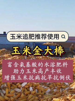 #玉米种植 #玉米金大棒有机水溶肥 #玉米增产增收 #玉米金大棒