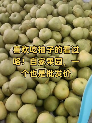 #文旦柚#度尾文旦柚#优质农产品 #口感特别好