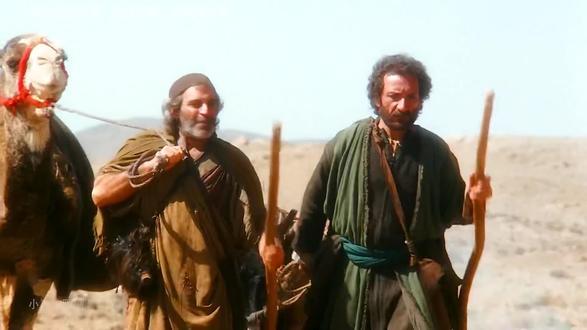 第二十八集摩西回埃及施展神迹#圣经 #旧约 #摩西