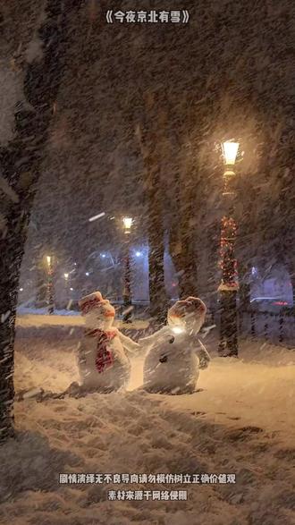 京圈大佬的偏执守护 #番茄小说 #《今夜京北有雪》