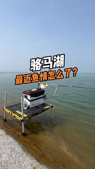 骆马湖最近鱼情怎么了? #2026dou来钓鱼 #螺纹钢极 @汉鼎官方旗舰店