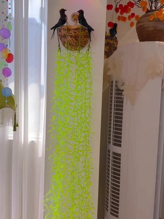 燕子上墙富贵又吉祥、燕子都到有福之家,20支柳条送你,放在你家任何地方都好看#悠闲生活 #手工艺术 #生活日常记录 软装搭配