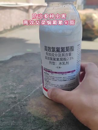 #杀虫剂 #三农种植 #病虫害防治 #农业知识 #抖音美好丰收节