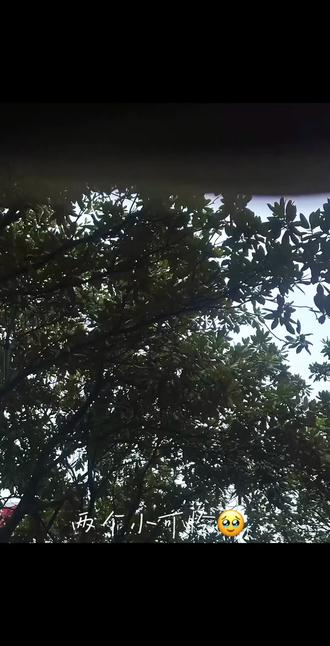 你的爱如台风过境,而身处台风眼的我却一无所知#台风眼#曹烨梁思喆