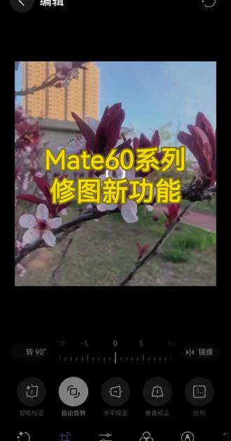Mate60图库AI修图新增扩图功能。 扩图功能一直在P70及以上手机才有,本次系统更新Mate60系列也增加了AI扩图功能#鸿蒙6 #Mate60 #AI修图