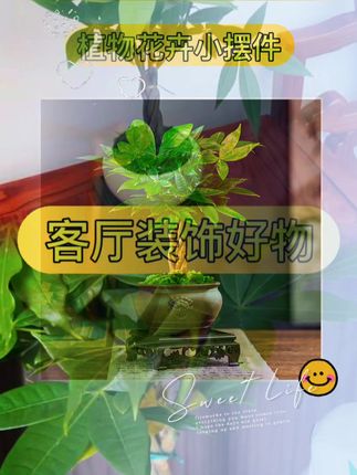好养活 发财树,四季常青!🌿🌞 我的植物花卉小摆件太美啦!发财树盆栽室内植物花卉小摆件四季常青,好养活还可以增加室内湿度哦!无论是放在办公室、客厅还是卧室、庭院,都能为你的空间增添绿意。这样的桌面绿植不仅美观,还能给你带来好运!快来把它带回家吧!#家庭养花 #爱生活爱养花 #室内绿植 #很漂亮 #精品推荐