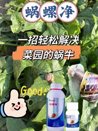 蜗螺净,环保配方高效除螺,虫卵兼防渗透力强,守护蔬果花卉健康生长!#三农种植 #种植技术 #农业种植技术 #农业知识 #农业