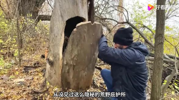 #荒野建造#野外建造 #荒野独居 #野外生存 一起来欣赏一集解压助眠的荒野建造吧!