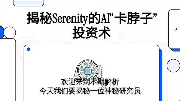 2年225倍收益?揭秘近期网络上大火的神秘研究员Sereni #标普500 #赚钱 #美股 #投资 #a股