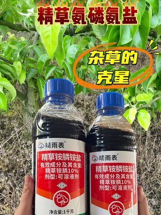 家人们谁懂啊!杂草丛生薅到腰酸背痛还除不尽?试试这款精草铵膦铵盐除草剂,专治各种“不服”的杂草!牛筋草、小飞蓬、看麦娘…管它多顽固,喷上几天就黄透,根都烂得干干净净!#精草铵膦铵盐 #精草铵膦铵盐除草剂 #除草 #农产品 #效果好