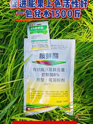 脱青上色促进农作物用的调节剂#胺鲜酯 #胺鲜酯用处非常大分享给大家 #三农 #病虫害防治 #果树