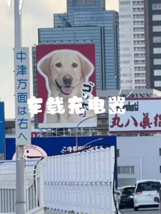 #车载充电器 #车载充电器推荐 #充电器