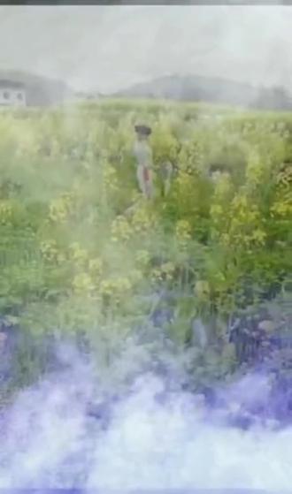 一句歌词一幅画 ,听一飞这赋有穿透力的歌声,仿佛看到一只孤独起舞的白狐。