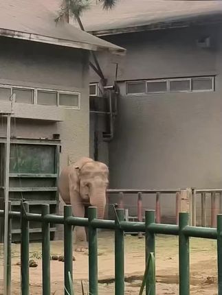 #足迹时光