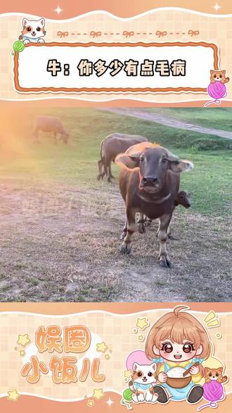 #牛:不像是在挑衅,像是有点毛病 #牛 #抽象 #搞笑 #万万没想到