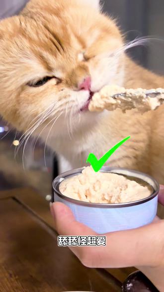 还有哪只小猫没有薅到喜喵的喵白金新年礼包?#喜喵猫粮 #喜喵喵白金#萌宠好物 #猫咪礼包#猫粮