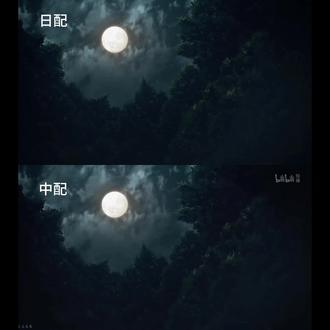 要给善逸中配的“野猪”笑死了
#鬼灭之刃 #中配