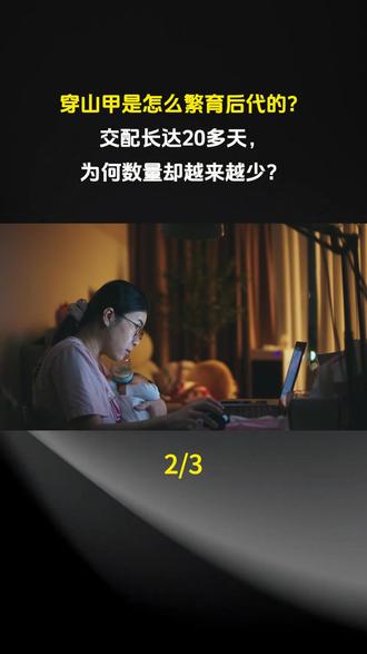 穿山甲是怎么繁育后代的?交配长达20多天,为何数量却越来越少?#科普 #科普一下 #科普知识 #科普达人 #奇闻趣事