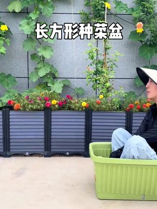 阳台家用种菜专用箱长方形#种菜盆 花盆蔬菜种植盆塑料户外#庭院花箱